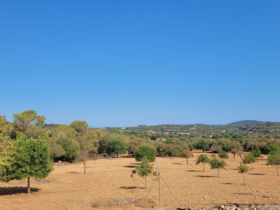 Helårsgrund i Manacor, Mallorca - foto 1